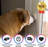 Hond Plas Deurbel - Dog Doorbell - Draadloos Wireless - Verschillende Volumes en 38 Melodieën  - Geen Plasproblemen Meer - Zonder Blaffen - Krasvrije Deuren – Waterdicht – Geen Batterijen Nodig