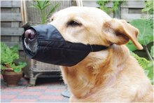 Beeztees Veiligheidsmuilband - Hond - X-Large - 28,5 cm
