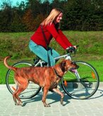Trixie Fiets En Jogging Lijn Dog Activity - 2M x 25 mm - Zwart