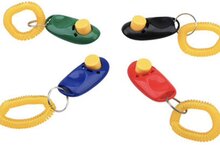 Handzame clicker voor clicker training - Zwart