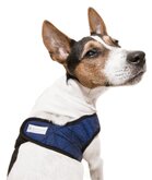 Aqua Coolkeeper Cooling Comfy Harness Pacific Blue - XS 26-30 cm
