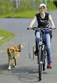 Flamingo Fietshouder Doggy Guide - Hondenfietsaccessoires - Zilver per stuk