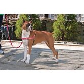 Anti-Trek hondentuig Easy Walk ® Roze