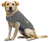 Hond
