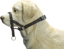 Beeztees Dog Control - Hondenhalsband - Zwart - XS