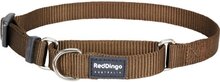 Red Dingo Martingale Correctie Halsband Hond 15mm 25-39cm MC-ZZ-BR-15