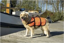 Beeztees Veiligheidsvest/Zwemvest - Hond - X-LG - 41+ Kg