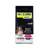 Pro Plan Adult Medium Sensitive Skin 14 + 2,5 kg gratis 