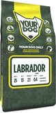 Yourdog Labrador Pup - 3 KG