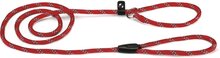Beeztees - Hondenriem - Sliplijn - Rood - 170 cm x 8 mm