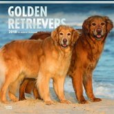 Golden Retrievers honden kalender 2018