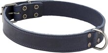 Adori Halsband Italy Met Print Old Silver Blauw - Hondenhalsband - 30mmx60 cm