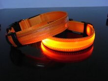 Led hondenhalsband Oranje Medium 40 - 48 cm