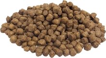 Superieur (Premium) Mini Lam en Rijst Brokken - 10 KG - Hondenvoer