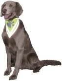 Nobby veiligheidsbandana reflecterend max. 28 cm groen 30 cm x 13 cm x 1,5 cm - 1 st