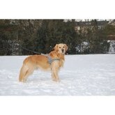 Hurtta Padded Harness 110 cm voor de hond Rood-rood OP is OP
