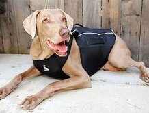 Comfy Wrap Helend en Beschermend, vest voor honden maat M