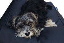 Dog's Companion Hondenkussen - S  - 70 x 50 cm - Kunstleer - Zwart Leather Look