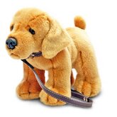 Aangelijnde knuffel Labrador