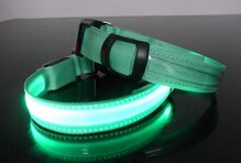 Led hondenhalsband Groen Small  35 - 43 cm