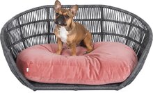 Laboni Design hondenmand Prado rose 110 x 73 x 48 cm