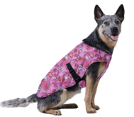 Cooling Pet Jacket Roses