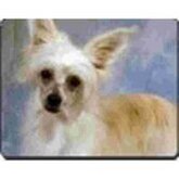 Chinese naakhond bruin  Muismat