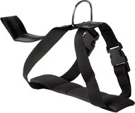 Adori Nylon Hondenautogordel