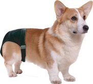 Dog Pant Loopsheidbroekje - size 4