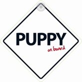 Puppy on board