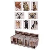 Honden magneet King Charles