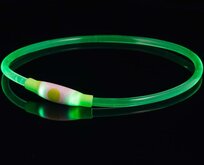 Bee Seen - Dog Band - Groen - usb - Led Band - honden lampje - veiligheid