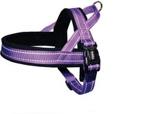 Nobby Norwegian Tuig - Hond - XXL - Buikomtrek 75 tot 98 cm - Paars