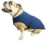 Koel Jas Hond Pacific Blue