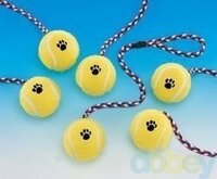 Dog toy tennisbal met touw