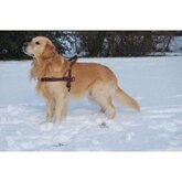 Hurtta Padded Harness 45 cm voor de hond blauw - blauw