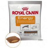 Royal Canin Energy Beloningssnack - Voordeelpakket: 10 x 50 g
