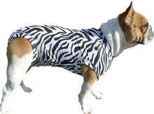 Medical Pet Shirt Hond Zebra Print - M
