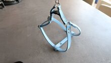 Leren tuigje fel blauw