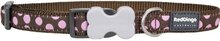 Red Dingo Halsband Hond 20mm 31-47cm DC-S1-BR-20