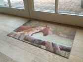 Deco-star dieren 50x80cm paard en hond
