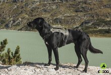 Hondentuig Pro Harness Zwart