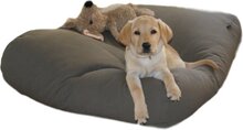 Dog's Companion Hondenkussen - XS - 55 x 45 cm - Muisgrijs