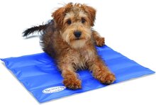 Scruffs Koelmat Hond - Blauw - S: - 50 x 40 cm
