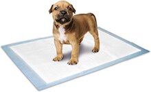 Puppy trainingsmat M 10 st 60x45 cm