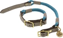 Honden halsband Nylon/Leer Turquoise size S