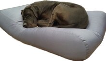 Dog's Companion Hondenkussen - XS - 55 x 45 cm - Staalgrijs Coating