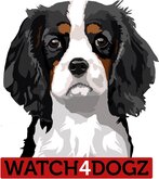 Cavalier King Charles sticker (set van 2 stickers)