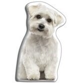 DierenSierkussen hond Maltees