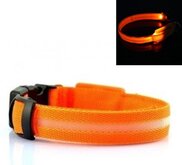 LED Halsband ORANJE - M
